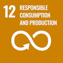 12-responsible-consumption-and-production 12-responsible-consumption-and-production