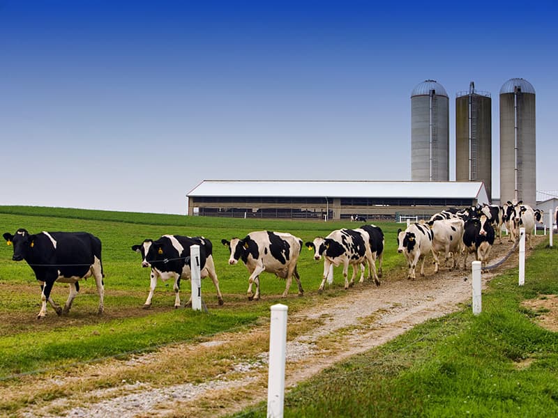 Biogas to Renewable Natural Gas Biogas to Renewable Natural Gas