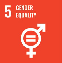 sustainable-gender-equality sustainable-gender-equality