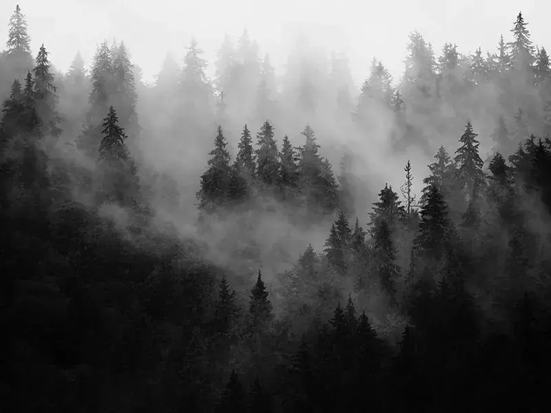 DNOW-ESG-2024-Sustainability-Report_environment